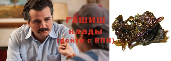 индика Богданович