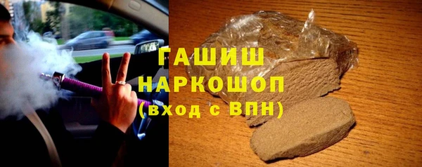 индика Богданович