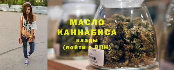 индика Богданович