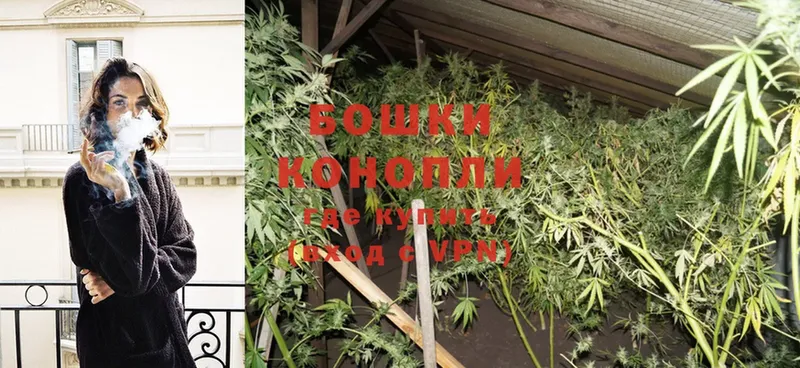 Канабис Ganja  Полярный 